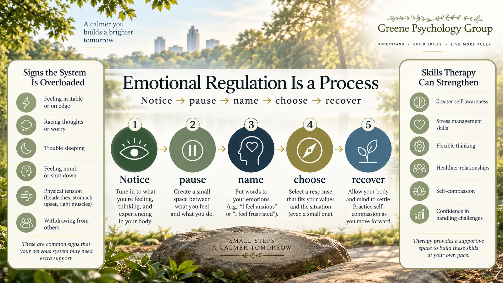 Emotional dysregulation in adults infographic showing overload signs and emotional regulation skills